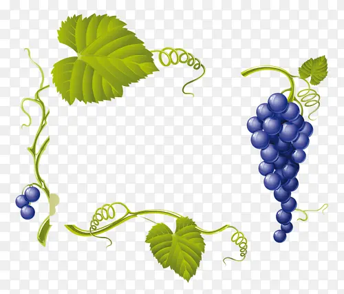 ������-������