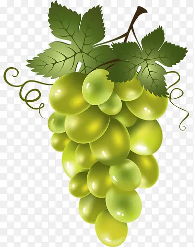 ������-������