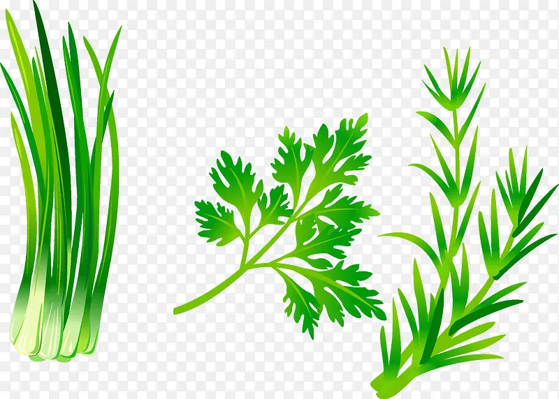 ��ɫ�߲�-������