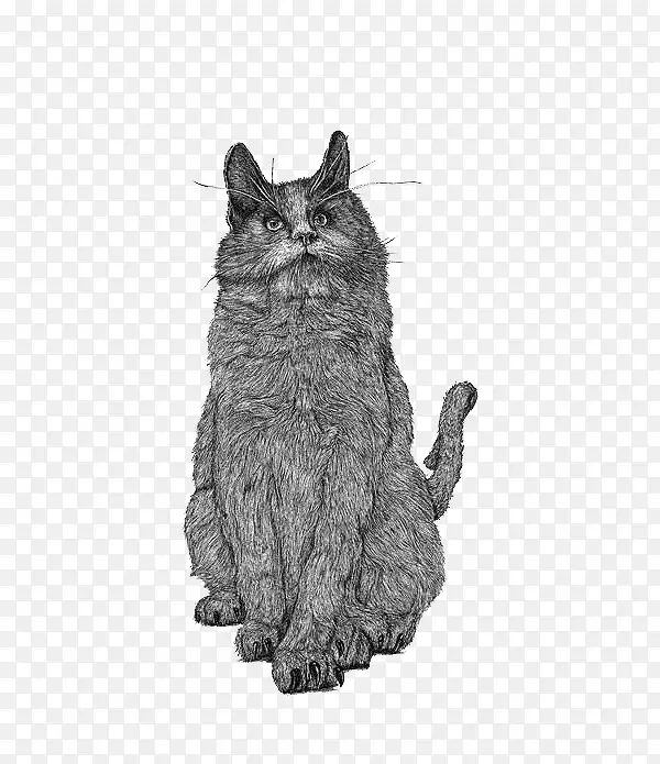 �ڰײ廭è��-������