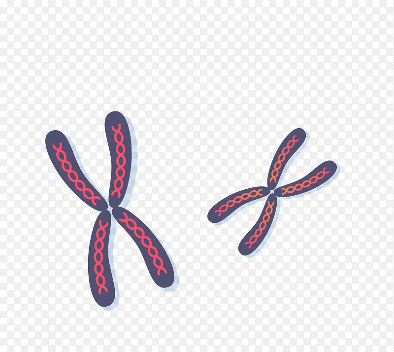 ʸ��Ⱦɫ���ز�-������