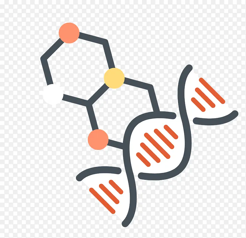 ʸ��DNA�ز�-������