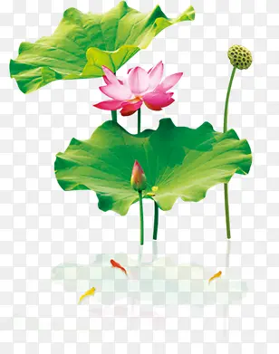 �ж����׽ڿ�����Ҫ-������