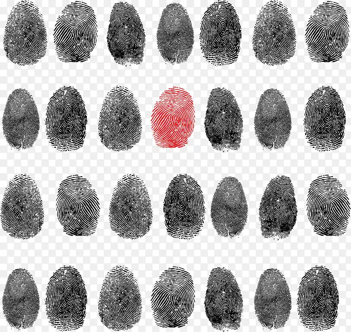 ָ���ز�-������