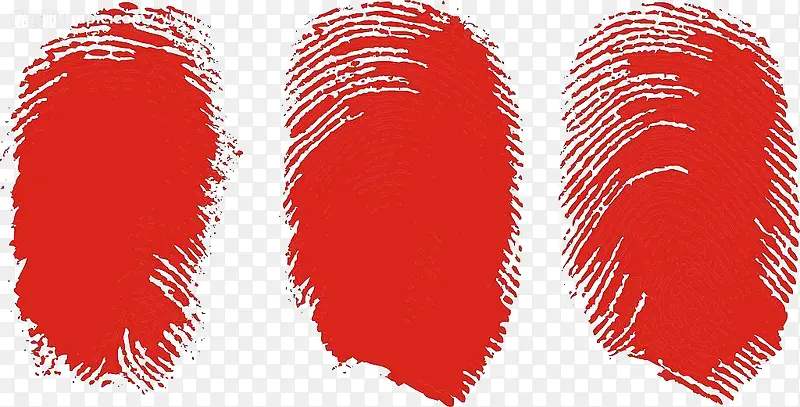 ָ��-������