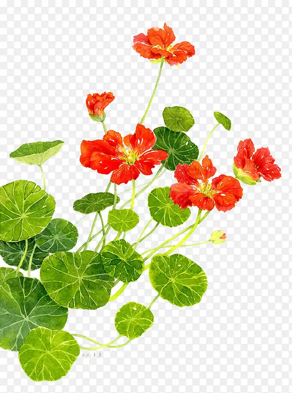 ˮ�ʻ���-������