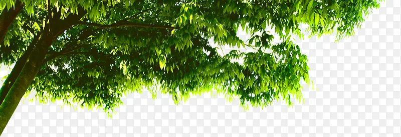 �������ⴺ������-������