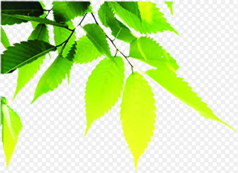 �����������ⴴ��-������