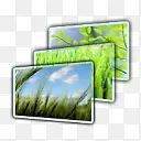 ͼƬ��ʾ��������ҳͼ��-������