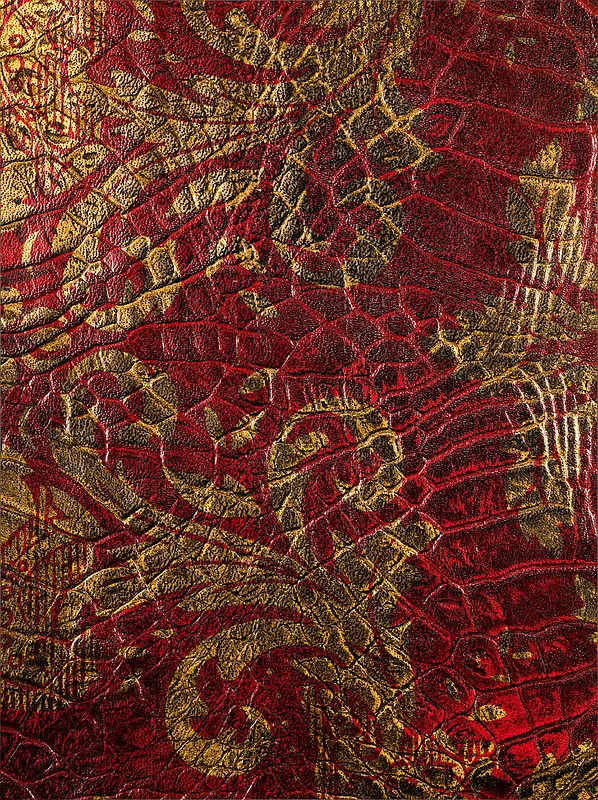 Ƥ�ﱳ��-������