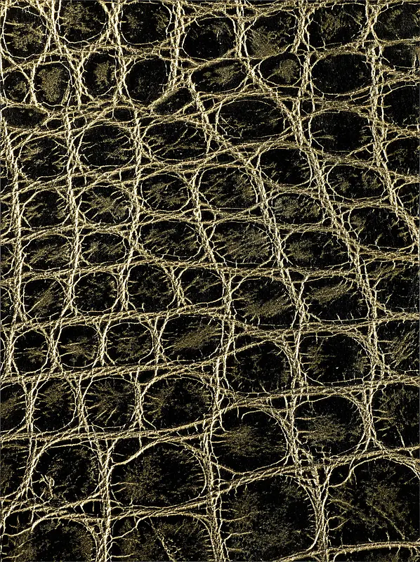 Ƥ�ﱳ��-������