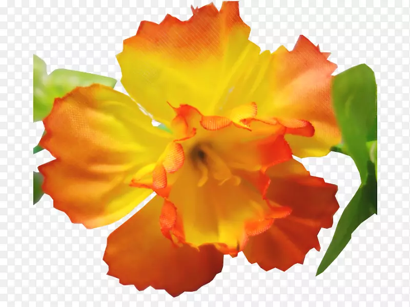 ����ֲ�ﻨ��ٺϻ�����-������