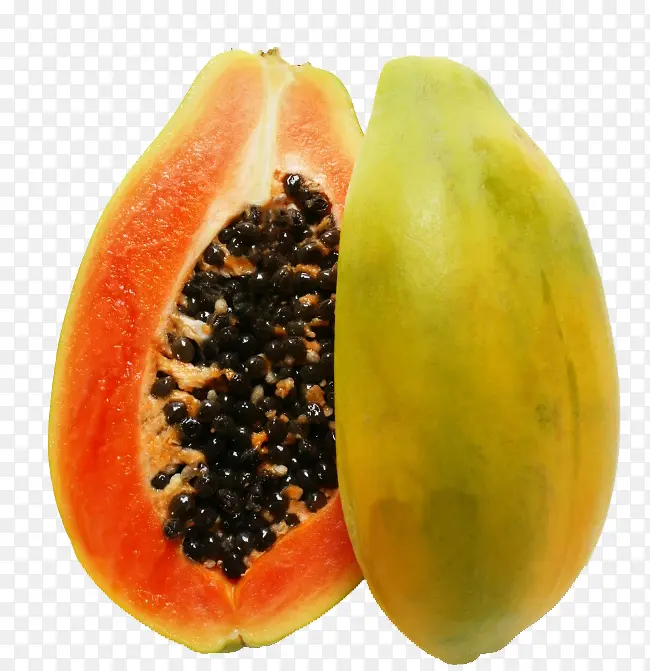 ����ľ��-������