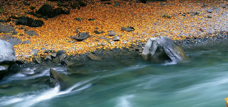 ��Ӱ����-������