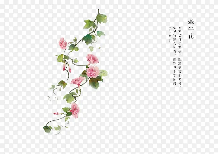 �ֻ滨��-������