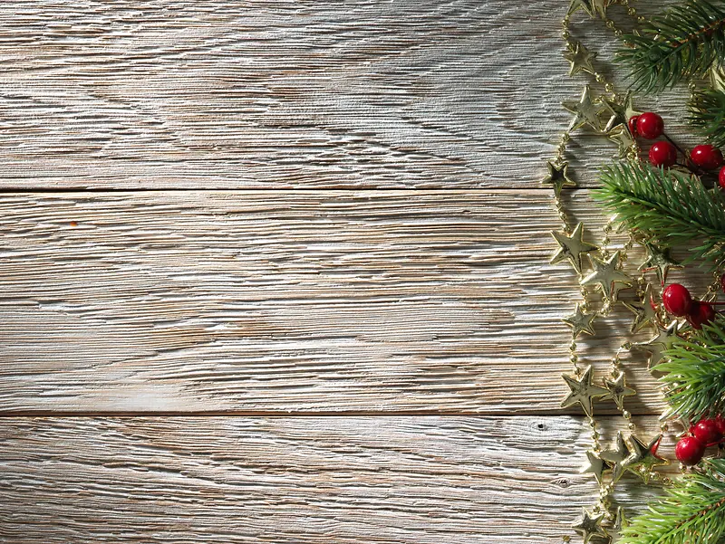 ʥ����ľ�屳���߿�-������