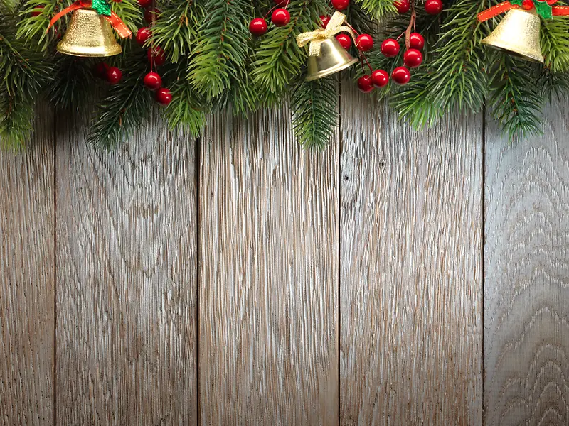 ʥ����ľ�屳��-������