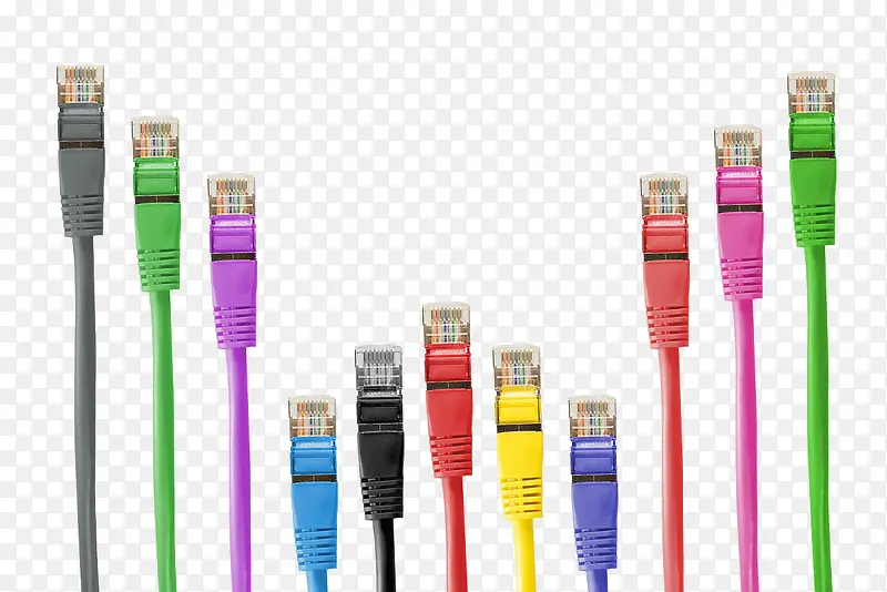 ��ɫ����-������