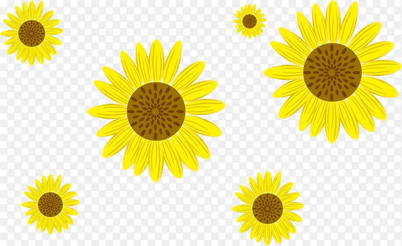 ���տ�����-������