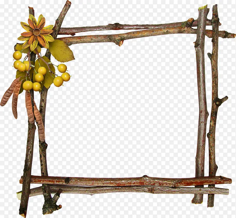 ����ľ��-������