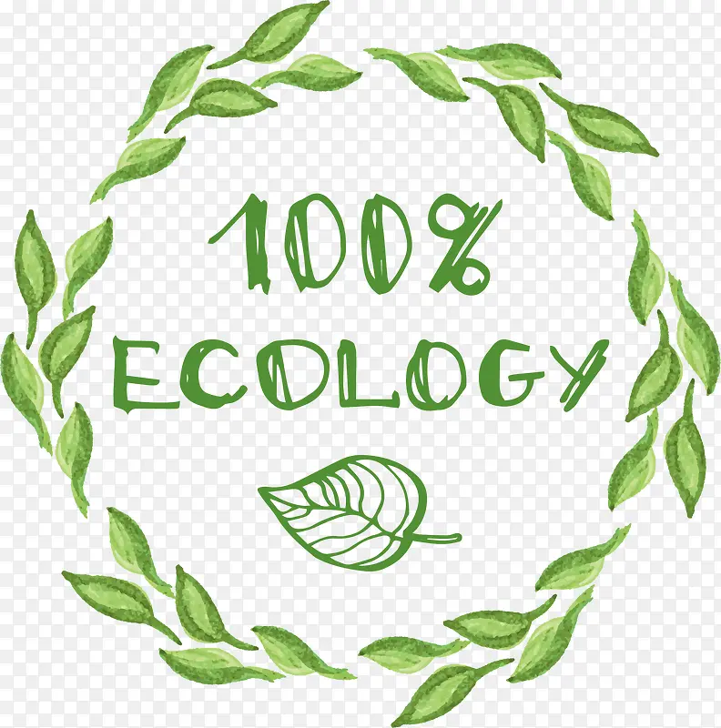 ��ɫ����ʸ��-������