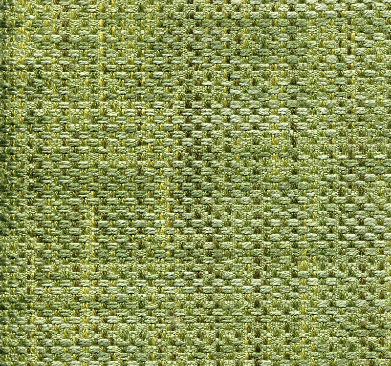 ��ɫ�鲼����-������