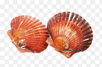 �ȱ�-������