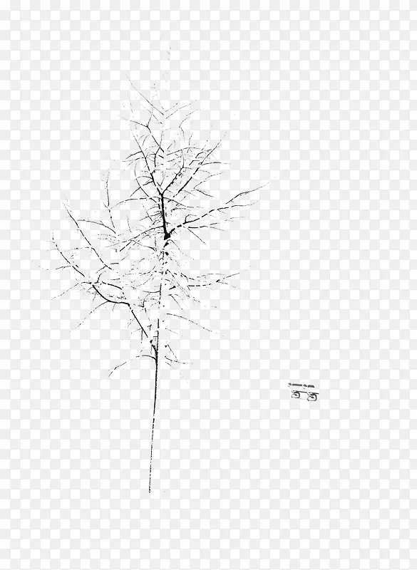 �ɿݵ���֦-������