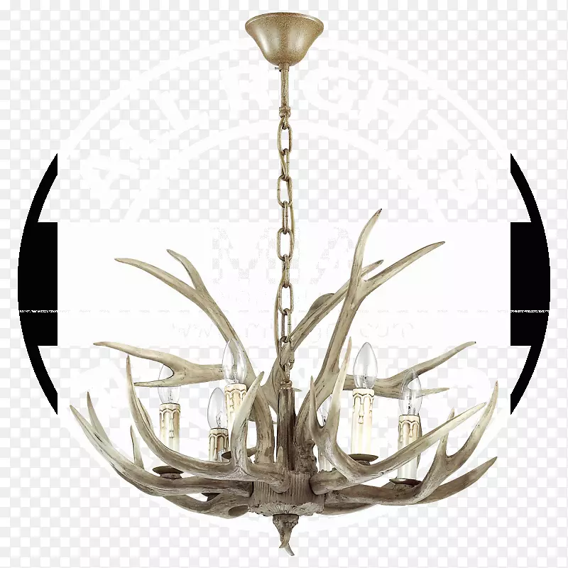 ���Ƶƾ���̨����.¹��-������