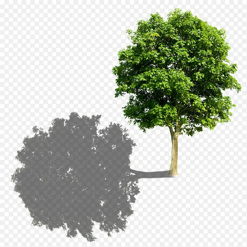 ��ɫ���͵�Ӱ-������