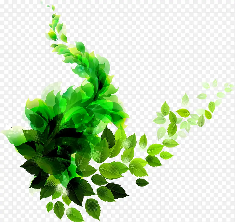 ����ʱ��Ҷ��ʸ��ͼ-������