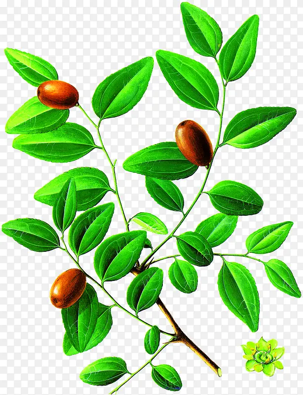 �ֻ��Ǧ�����ͼƬ�ز�-������