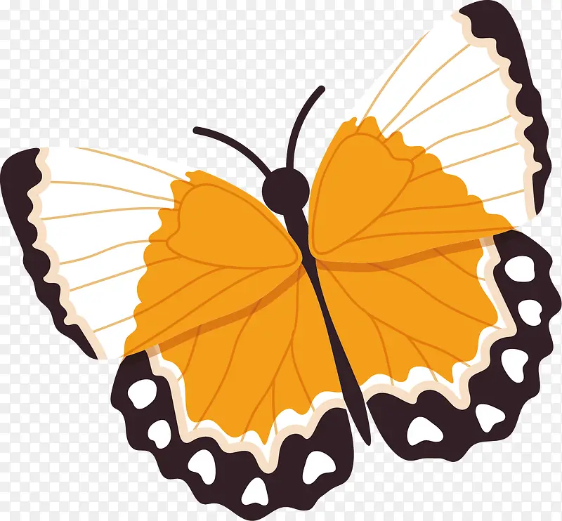 ��ͨ����ʸ��ͼ����-������