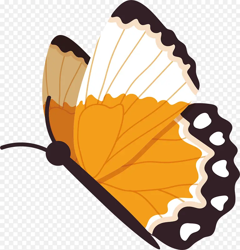 ��ͨ����ʸ��ͼ����-������