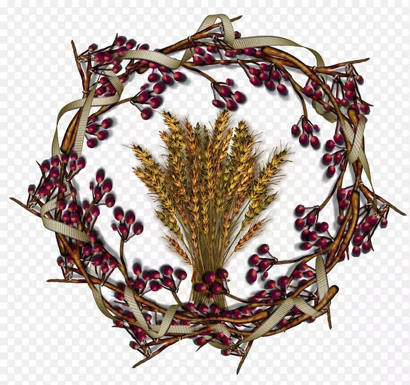 Ҷֲ����-���޵ڻ�-������