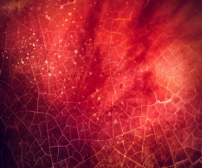 ��ɫ��Ч����-������