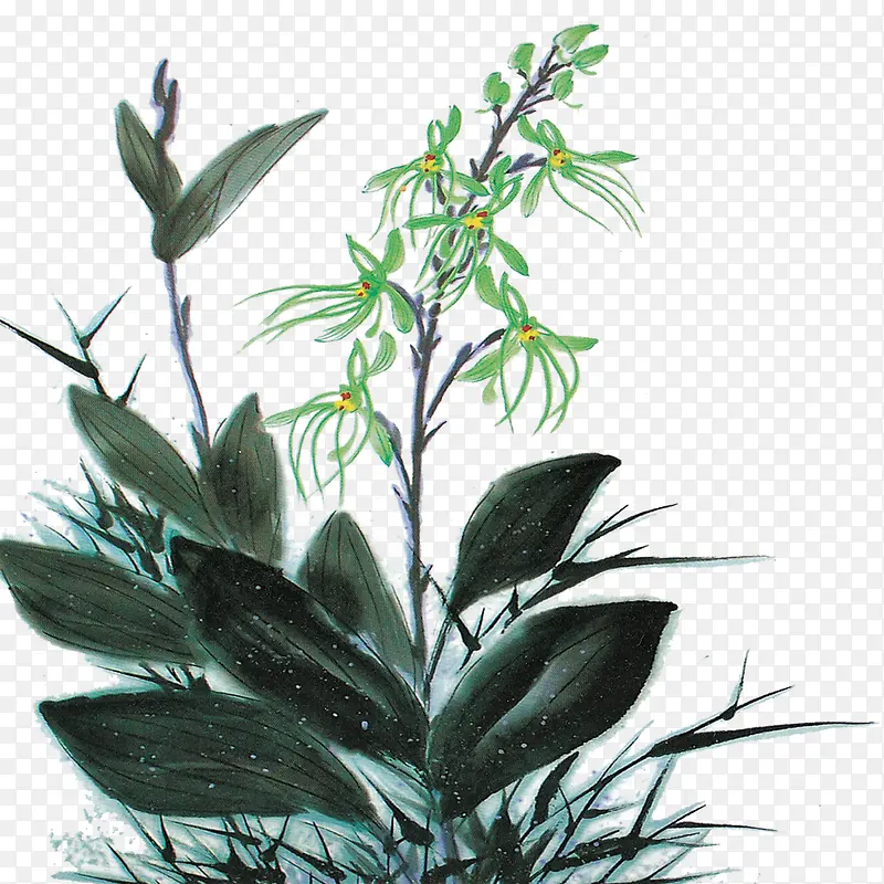 �й�ˮ�ʻ�-������