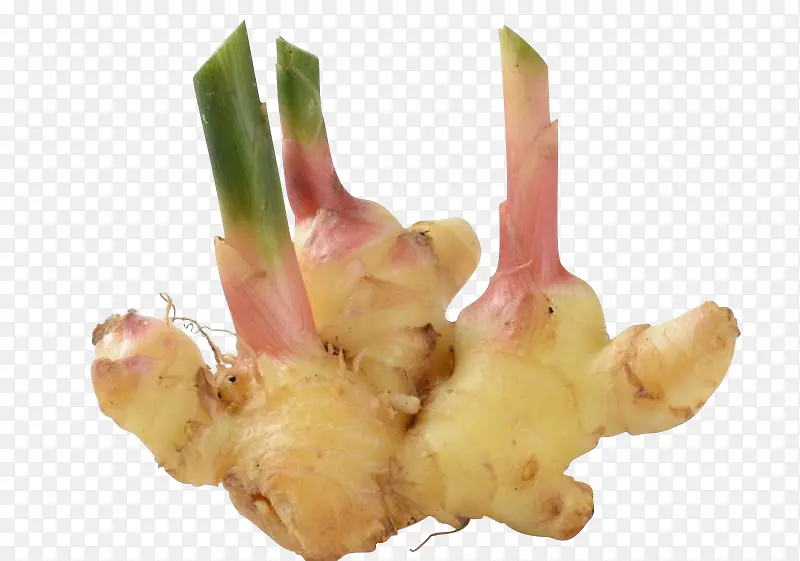 ��ɫ���������߲�����-������