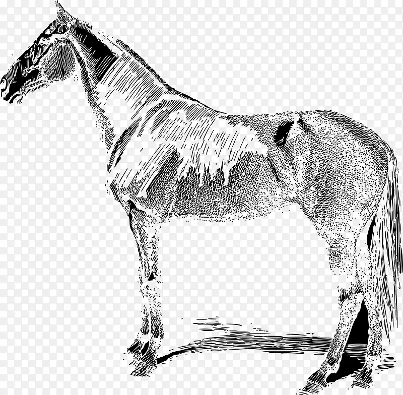 �ֻ�-������