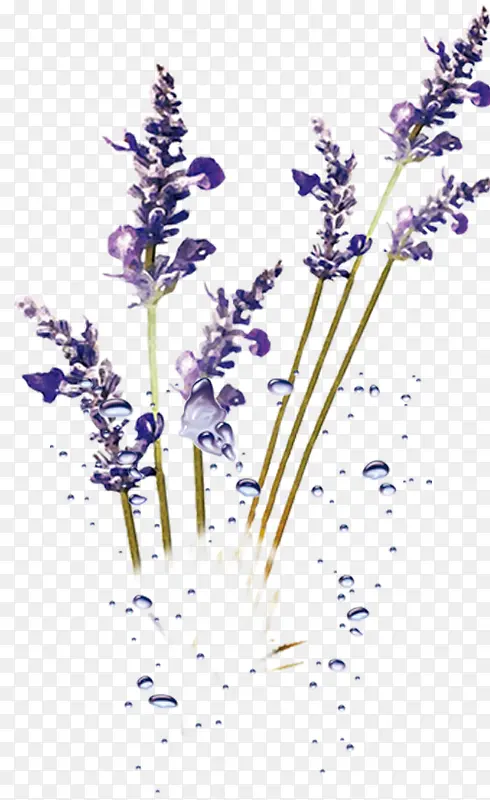 ��ɫ޹�²�ˮ��-������