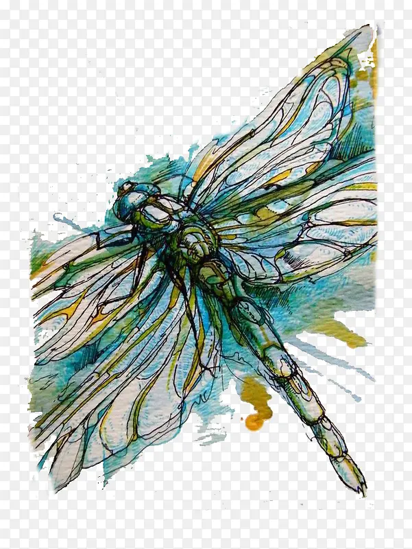 ��ɫ������-������