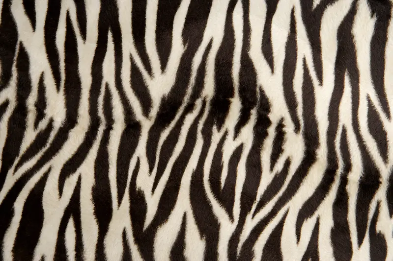 �������ϱ���-������