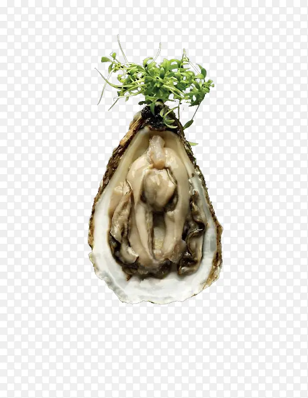 ���Ե����-������