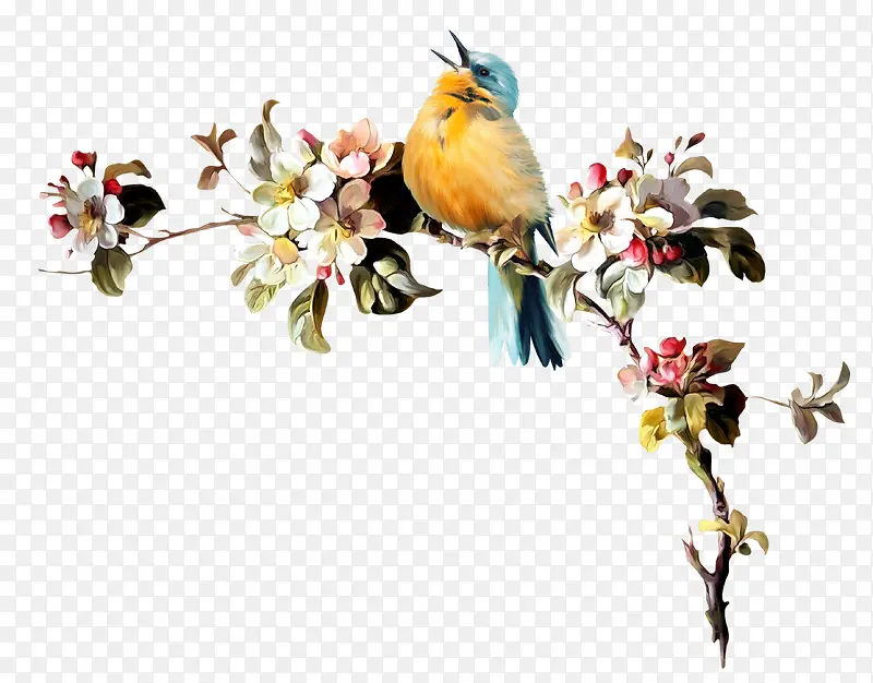 ��֦-������