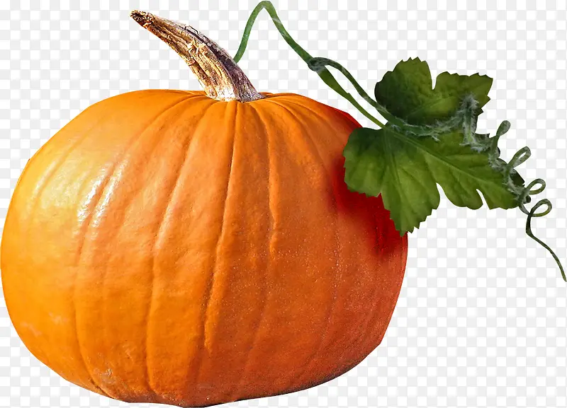 ��ͨ�߲�ͼƬ�ֻ� ��Ʒ�Ϲ�-������