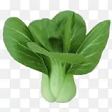 ��ͨʳ���ز�ʳ���Ӱ ��Ʒ�߲�-������