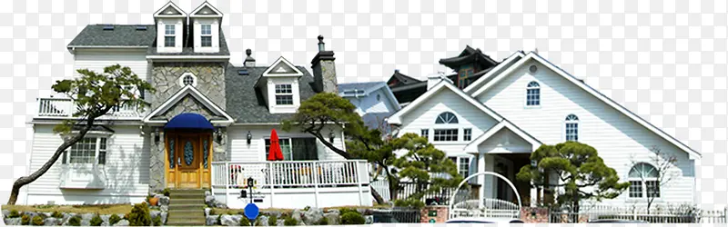 ʱ����԰������������-������