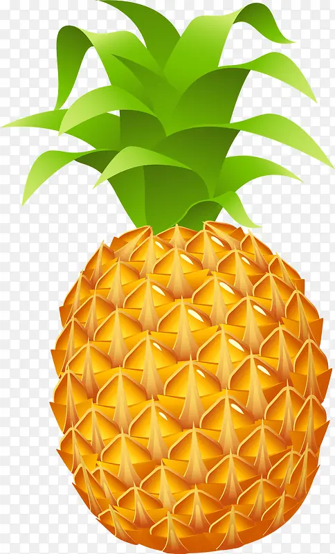 ���ʲ���ˮ��ʸ��ͼ-������