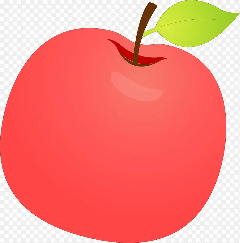 ��ͨ��ɫƻ��ʸ��ͼ-������