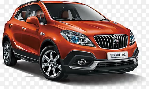 ��������ɫԽҰϵ��-������